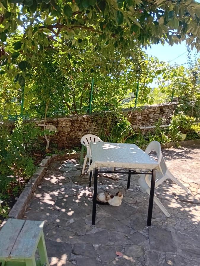 Stone Pazar Guest House Gjirokastër Exterior foto